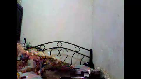 sophialaurel online show from 10.01.25