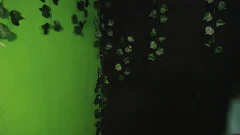 sophiamiller6 online show from 08.09.26