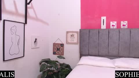 Sophie  Alis online show from 01.30.25