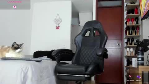 sophiebaker__ online show from 06.09.26