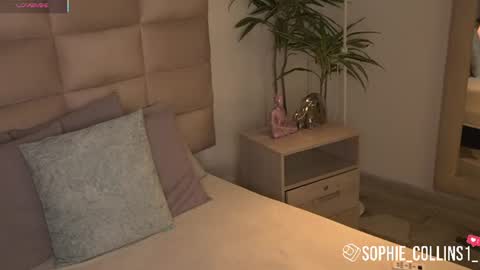 Snapshot of sophiecollins_1 chatting on 06.30.26 Sophie online show from 06.30.26