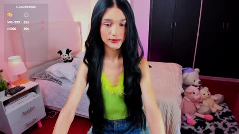 Snapshot of sophiecornett chatting on 12.31.24    online show from 12.31.24