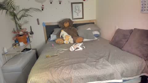 SofiTrans21 online show from 12.15.24