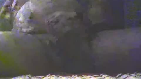 Golan online show from 03.04.25