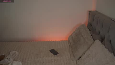 Snapshot of soydenise chatting on 11.01.25 Denise online show from 11.01.25