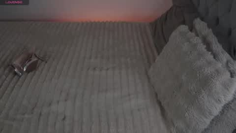 Snapshot of soydenise chatting on 02.13.26 Denise online show from 02.13.26