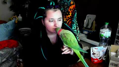 Evgenia online show from 06.05.26