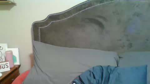 Snapshot of sparklelove69 chatting on 11.30.25 Scottietee online show from 11.30.25