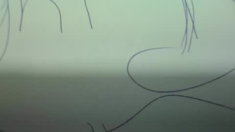 Snapshot of sparklelove69 chatting on 03.02.26 Scottietee online show from 03.02.26