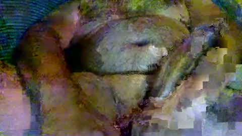 splinter8484 online show from 08.07.26