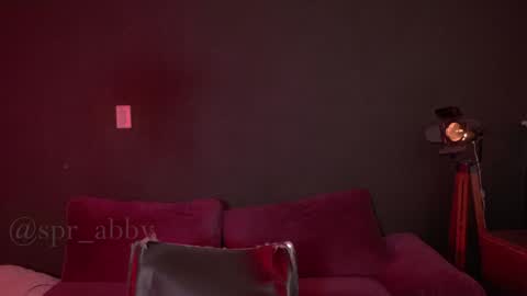 Snapshot of spr_abby chatting on 12.08.24 Abby online show from 12.08.24