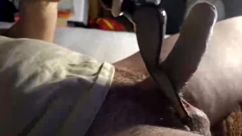 Snapshot of srb543 chatting on 12.16.25 srb543 online show from 12.16.25