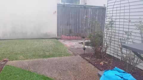 srtxshow online show from 02.05.25