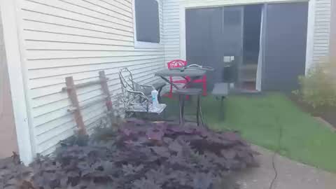 srtxshow online show from 10.20.25