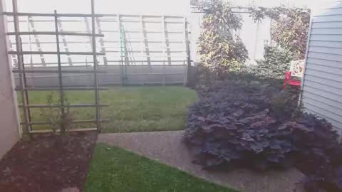 Snapshot of srtxshow chatting on 11.16.25 srtxshow online show from 11.16.25