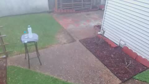 Snapshot of srtxshow chatting on 03.08.26 srtxshow online show from 03.08.26