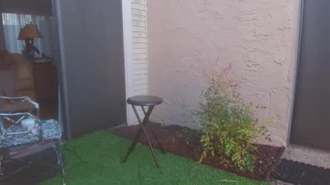 srtxshow online show from 03.13.26