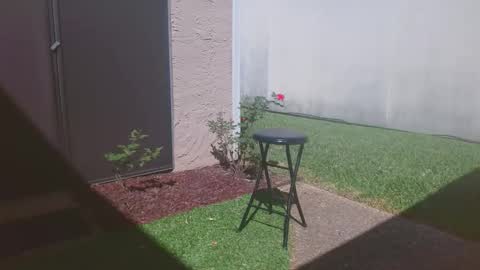 Snapshot of srtxshow chatting on 03.14.26 srtxshow online show from 03.14.26