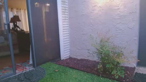 srtxshow online show from 04.04.26