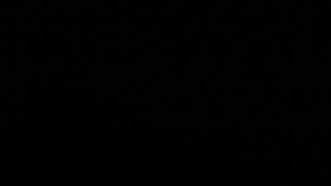 Snapshot of stacy_miraclee chatting on 11.08.25 Stacy online show from 11.08.25