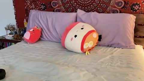 adriana torres online show from 02.22.25