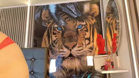 startevans online show from 03.14.26