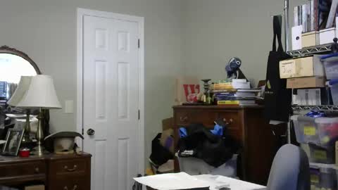 stasw20 online show from 09.14.25