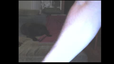 Snapshot of stefangeil123 chatting on 03.21.26 stefangeil123 online show from 03.21.26