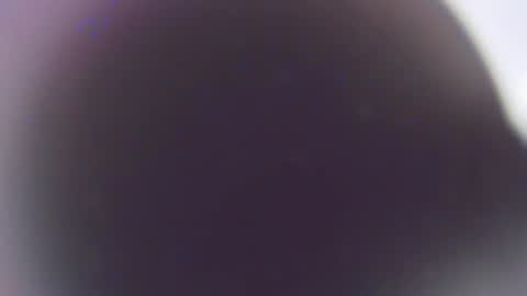 Stefano online show from 12.03.25