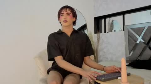 Steicy online show from 06.10.26