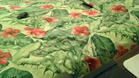 Snapshot of stel7621 chatting on 12.18.25 Rocco-load online show from 12.18.25