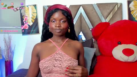 Snapshot of stela__gs chatting on 01.14.25 stella online show from 01.14.25