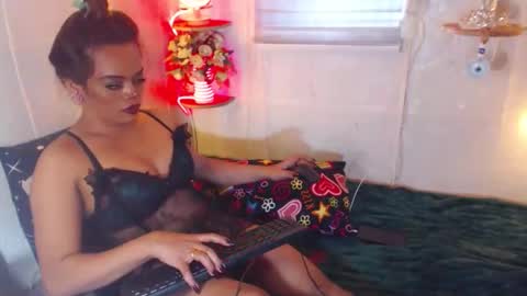 stella online show from 01.20.25