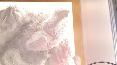 S T E L L A online show from 02.28.26