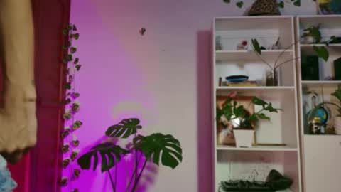 stellart_ online show from 11.20.25