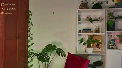 stellart_ online show from 11.30.25