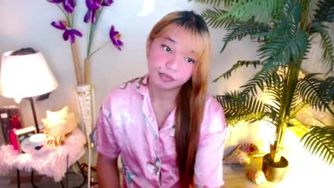 Stella sweet online show from 06.15.26