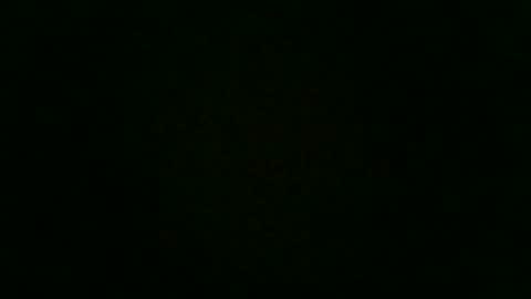 stensurfarn online show from 12.02.25