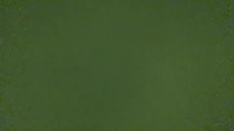 stensurfarn online show from 03.21.26