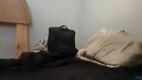 Snapshot of sterng123 chatting on 10.13.25 sterng123 online show from 10.13.25