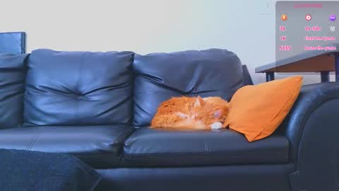 Snapshot of stiven_montiel chatting on 01.09.26 Stiven Montiel online show from 01.09.26