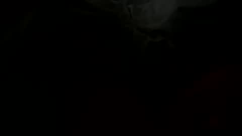 Snapshot of stockungs chatting on 02.14.25 stockungs online show from 02.14.25