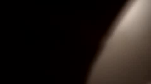 Oval2022 online show from 12.21.24