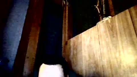 Snapshot of stonedstallion2019 chatting on 04.02.26 stonedstallion2019 online show from 04.02.26