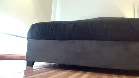 Snapshot of storm_hanks chatting on 11.29.25 storm_hanks online show from 11.29.25