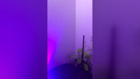 Snapshot of straight_boys_hornys chatting on 12.20.25 straight_boys_hornys online show from 12.20.25