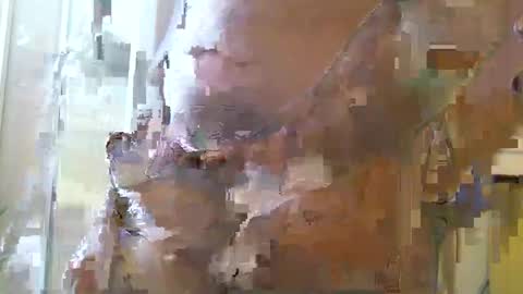 Snapshot of straightstroker81 chatting on 12.11.24 straightstroker81 online show from 12.11.24