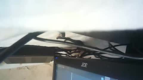 Snapshot of strangerdanger_2 chatting on 01.09.26 strangerdanger_2 online show from 01.09.26