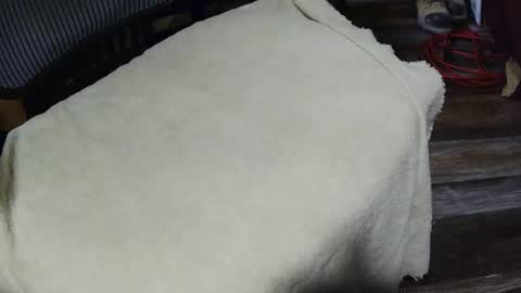 strokingmymeat336 online show from 11.11.25