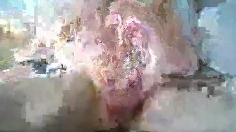 stthomasyr online show from 05.13.26